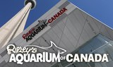 多伦多丨加拿大瑞普利水族馆丨Ripley's Aquarium of Canada